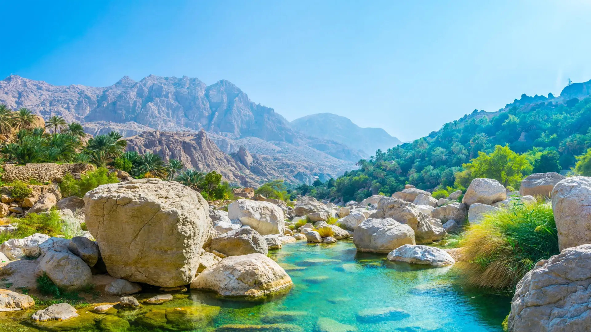 العنوان عربي