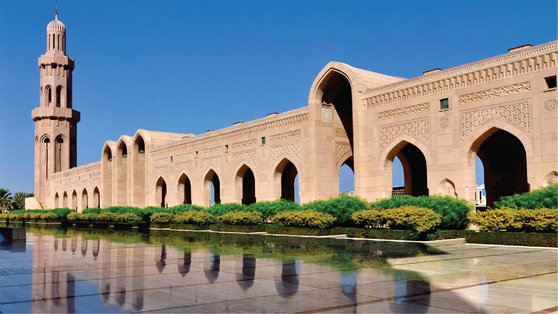 العنوان عربي